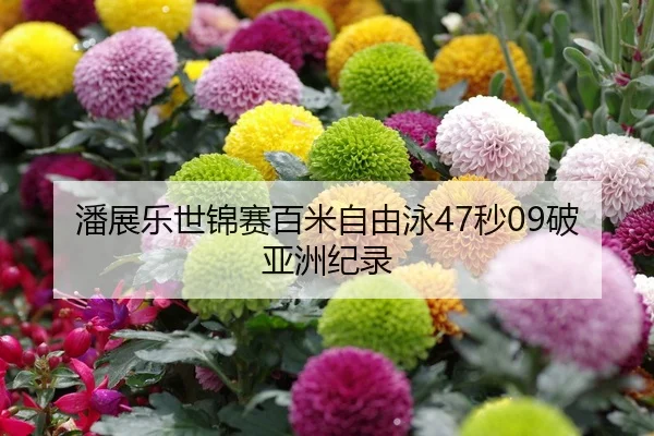 潘展乐世锦赛百米自由泳47秒09破亚洲纪录