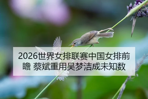 shi-jie-nv-pai-lian-sai-zhong-guo-nv-pai-qian-zhan-cai-bin-zhong-yong-wu-meng-jie-cheng-wei-zhi-shu-2-924.jpg